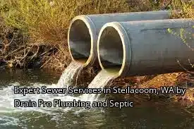 Expert Sewer Services in Steilacoom, WA by Drain Beast Services