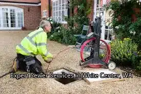Expert Sewer Services in White Center, WA Expert Sewer Services in White Center, WA