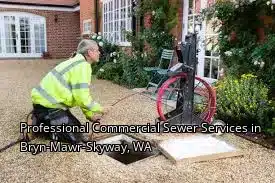 Professional Commercial Sewer Services in Bryn-Mawr-Skyway, WA