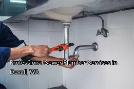 Professional Sewer Plumber Services in Duvall, WA