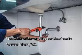 Professional Sewer Plumber Services in Mercer Island, WA