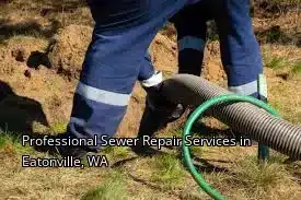 Professional Sewer Repair Services in Eatonville, WA Professional Sewer Repair Services in Eatonville, WA