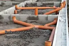 Professional Sewer Services in Bryn-Mawr-Skyway, WA