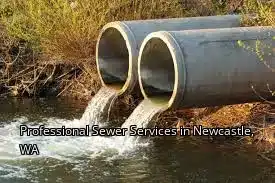 Professional Sewer Services in Newcastle, WA