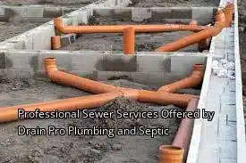Professional Sewer Services Offered by Drain Beast Services