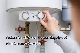 Professional Water Heater Repair and Maintenance Services