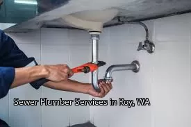 Sewer Plumber Services in Roy, WA