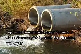 Top-Rated Commercial Sewer Services in Black Diamond, WA by Drain Beast Services