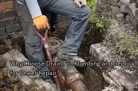 Why Choose Drain Beast Services for Sewer Repair? Why Choose Drain Beast Services for Sewer Repair?
