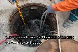 Why Choose Drain Beast Services for Your Sewer Needs?