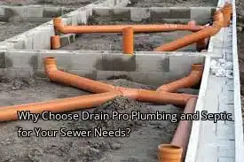 Why Choose Drain Beast Services for Your Sewer Needs?