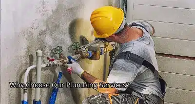 Why Choose Our Plumbing Services? Why Choose Our Plumbing Services?