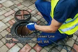 Efficient Trenchless Sewer Line Replacement in Bothell, WA Efficient Trenchless Sewer Line Replacement in Bothell, WA