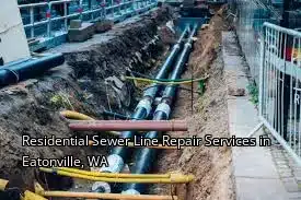 Residential Sewer Line Repair Services in Eatonville, WA Residential Sewer Line Repair Services in Eatonville, WA