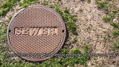 Trenchless Sewer Line Replacement in Edgewood, WA