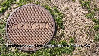 Trenchless Sewer Line Replacement in Tenino, WA