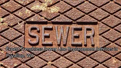 Expert Trenchless Sewer Line Replacement Services in Puyallup, WA