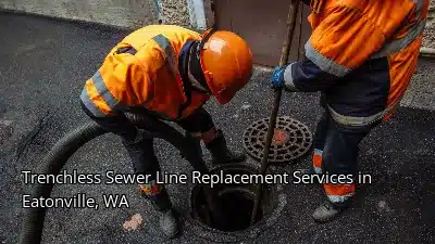 Trenchless Sewer Line Replacement Services in Eatonville, WA