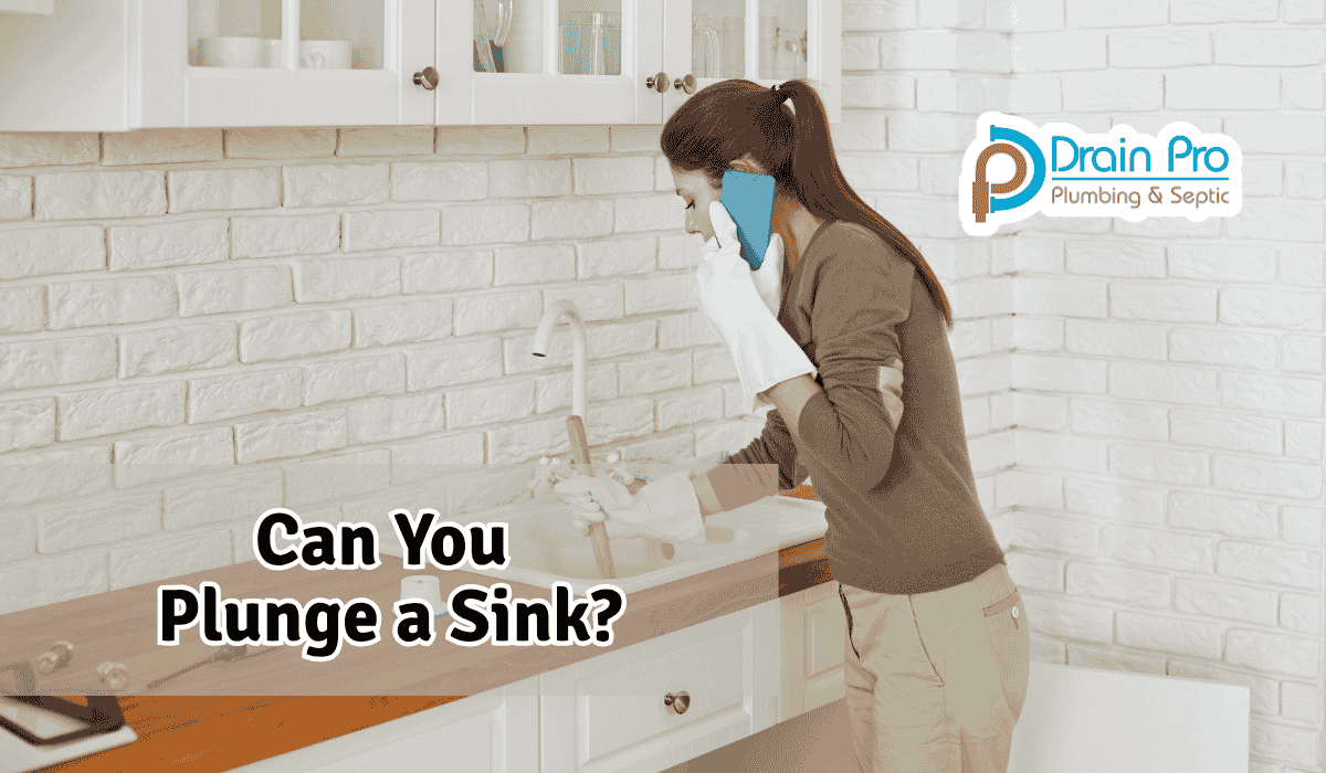 Can You Plunge a Sink