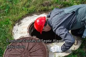 Common Causes of Septic Alarm Activations