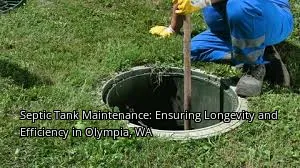 Septic Tank Maintenance: Ensuring Longevity and Efficiency in Olympia, WA
