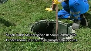 Septic Tank Maintenance in Snoqualmie, WA: Professional Services by Drain Beast Services Septic Tank Maintenance in Snoqualmie, WA: Professional Services by Drain Beast Services